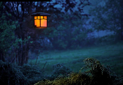 info-418-288 info-418-288