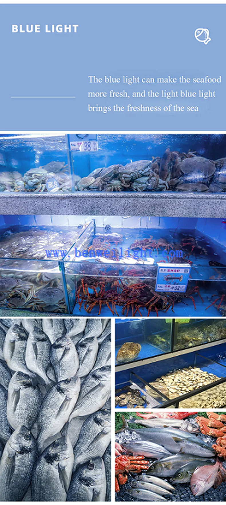 blue light blue light