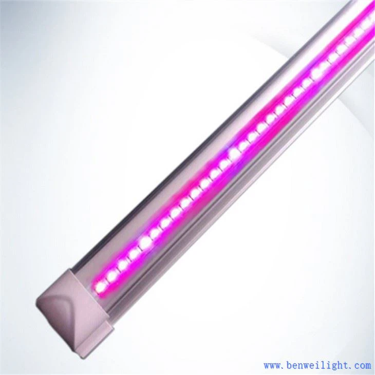 لامپ های ال ای دی برای گیاهان داخلی رشد کنید