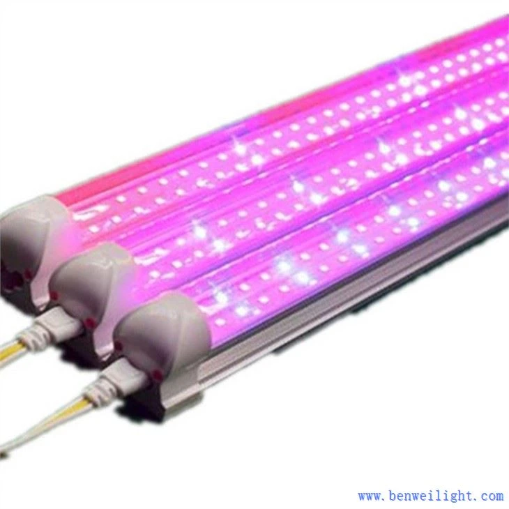 Grow Light Fixture