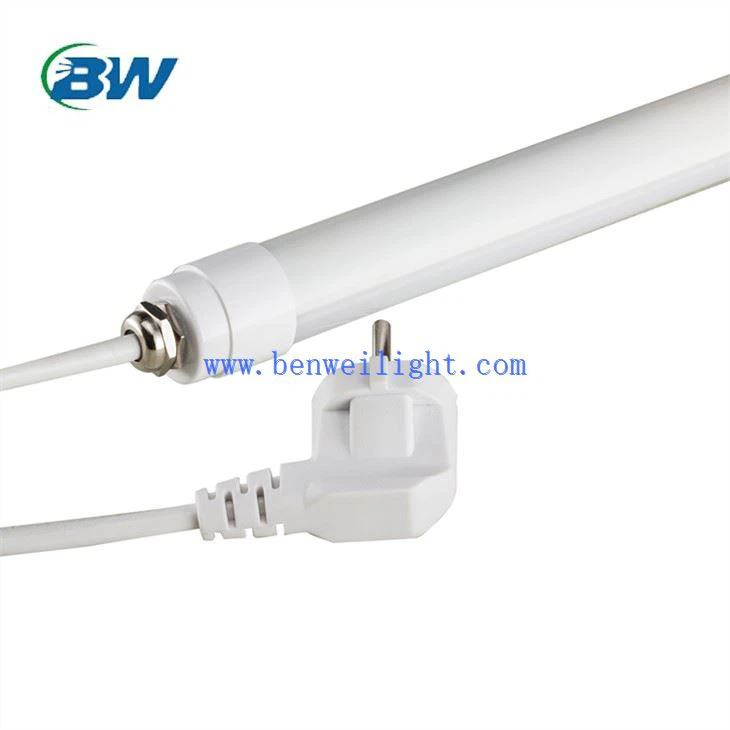 چراغ های LED برای مرغ های تخمگذار