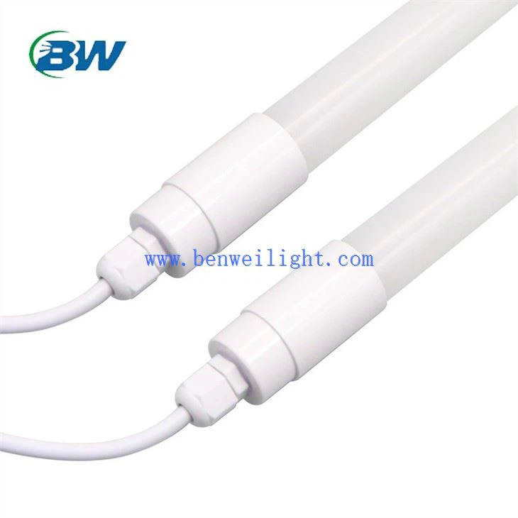 چراغ روشنایی مرغداری