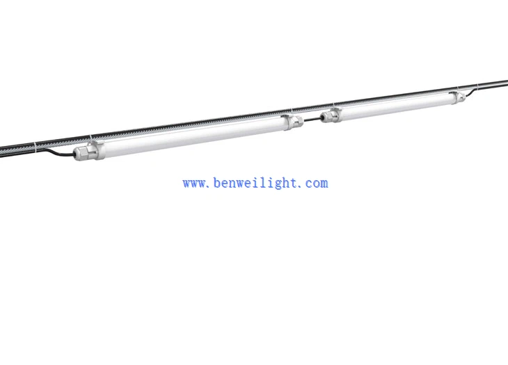 lighting for broiler chickens