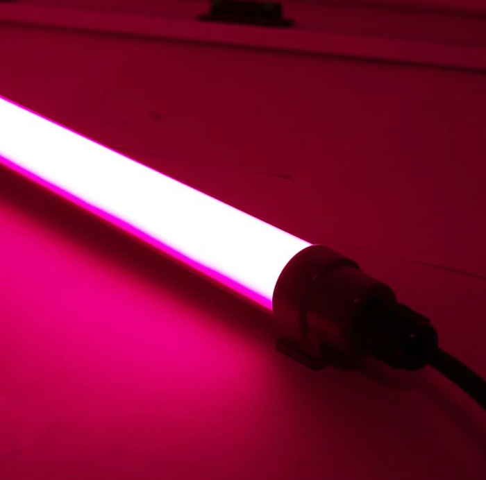 Red Poultry LED Light picture Red Poultry LED Light picture