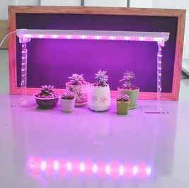 QQ20260227-090140 QQ20260227-090140