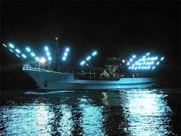 info-259-194 info-259-194