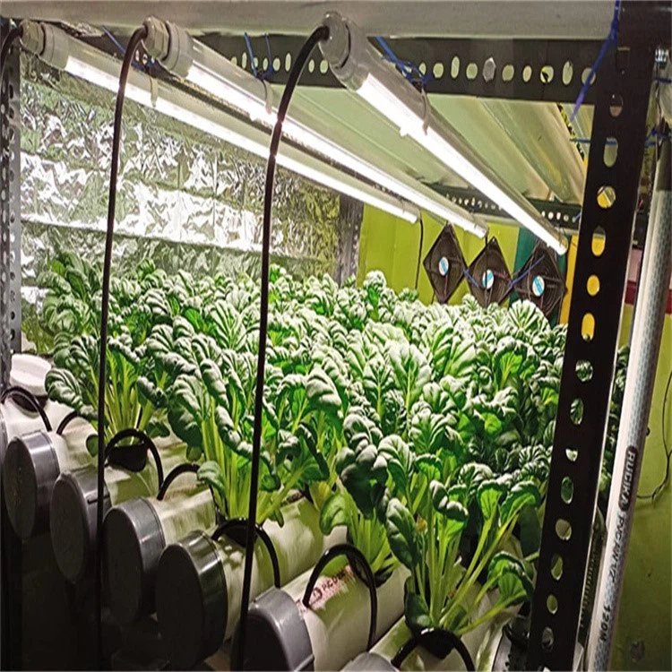 info-750-750 info-750-750