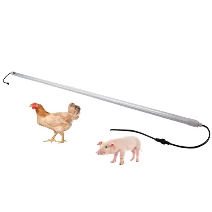 لوله نور ضد آب LED T8 برای طیور