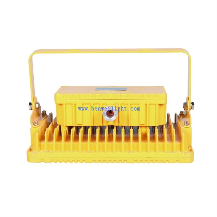 Safe Chemical Plant Flood Light (4)