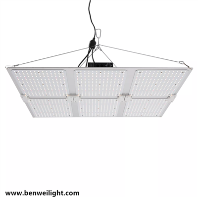 چراغ رشد LED با طیف کامل (Meanwell Driver, Indoor)