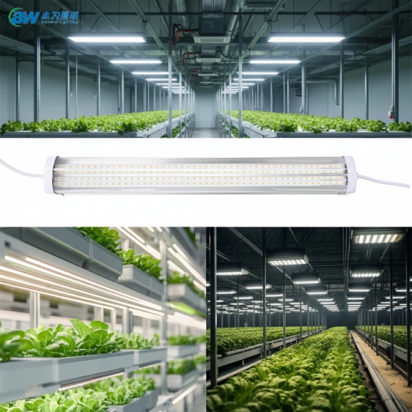 T20 Dimmable Vegetable Led Grow Linear Linkable IP65 Light 20-88W
